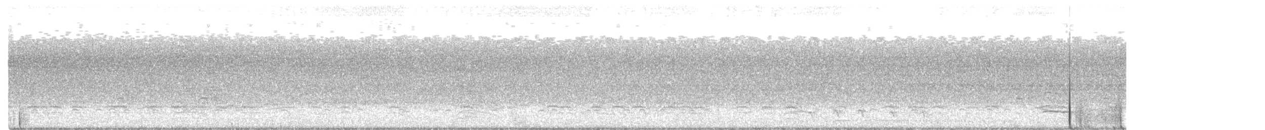 Weißbrustkleiber - ML363168281