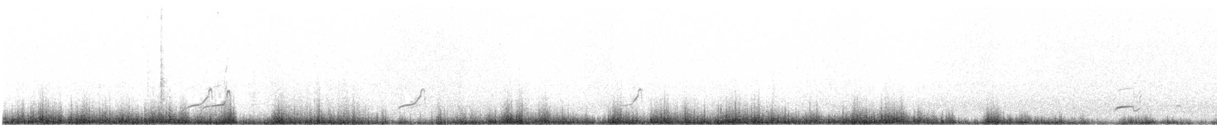 Tinamou élégant - ML363212411