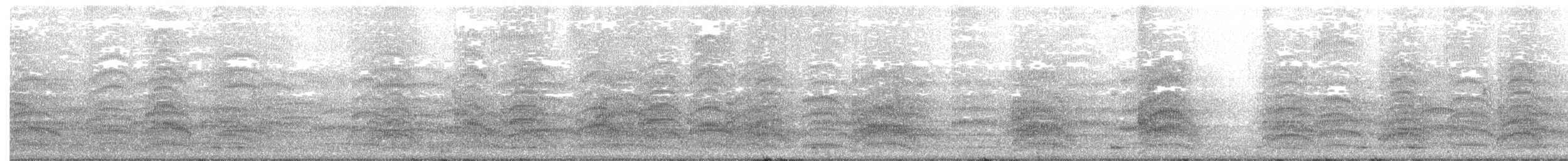 Mouette argentée (scopulinus) - ML363289191