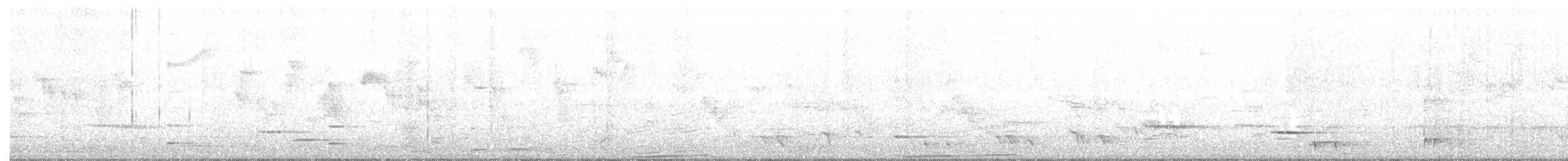 holub maorský - ML363289981