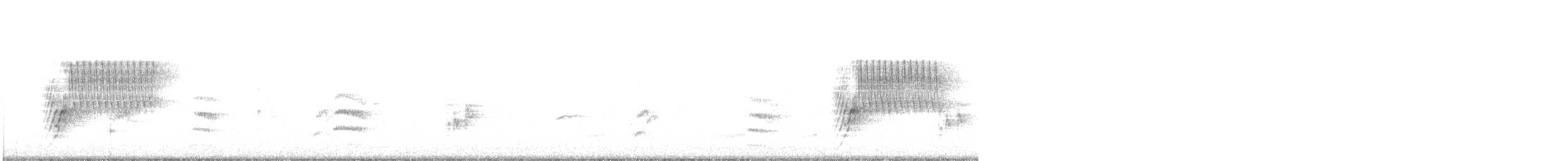 Тауї плямистий - ML363312341