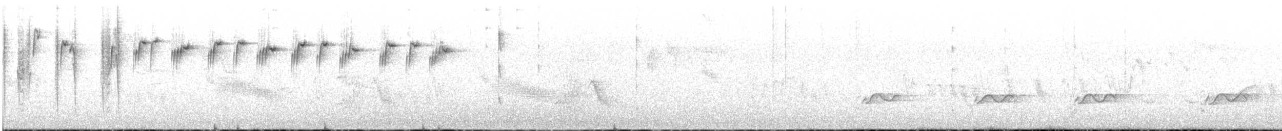 Новозеландская веерохвостка - ML363332641