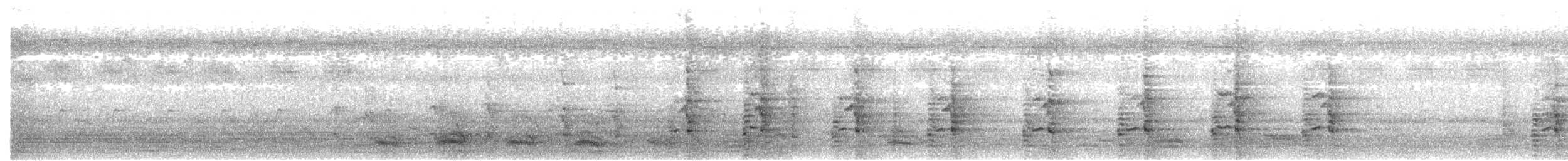 sokol stěhovavý (ssp. peregrinator) - ML363357781
