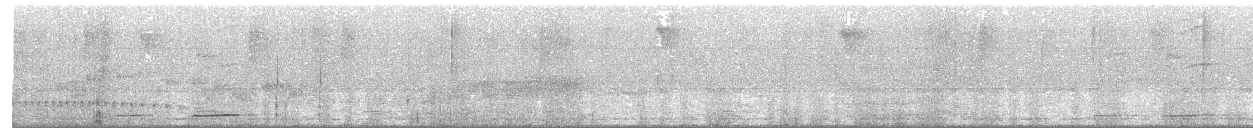 Grauflanken-Ameisenpitta - ML363509741