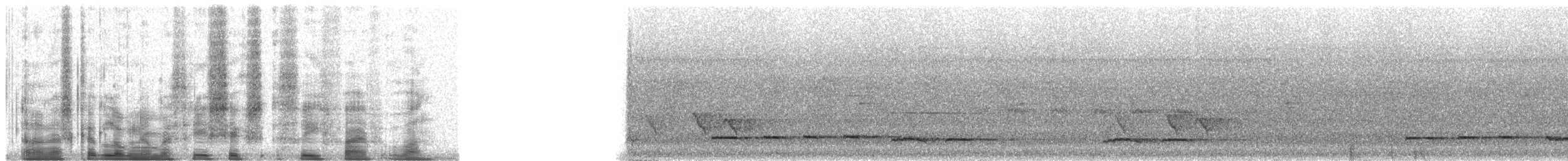 Длинноклювая куропатка - ML36351