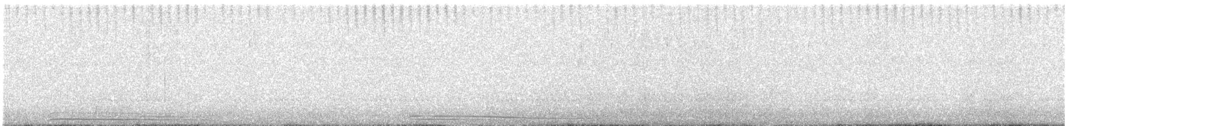 Madeirasturmvogel - ML363521321