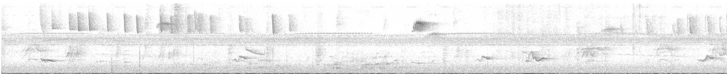 Benekli Karınlı Tangara - ML363530181