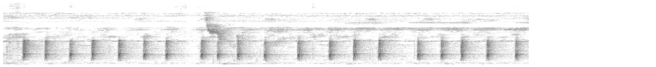 Willis's Antbird - ML363542401