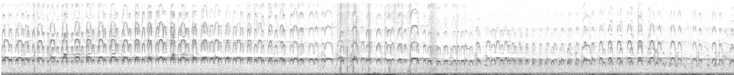 Braunmantel-Austernfischer - ML363551101