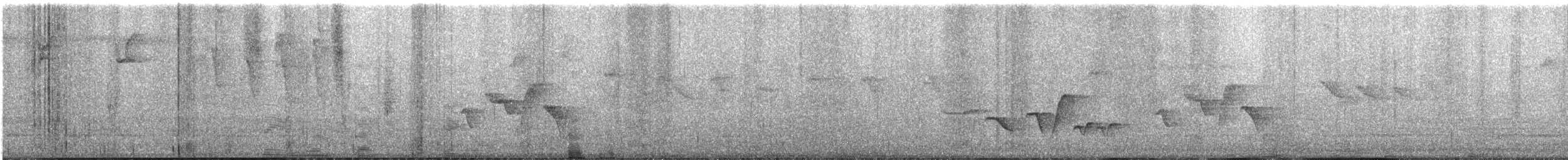 Веснушчатый крапивник (sclateri) - ML363582731