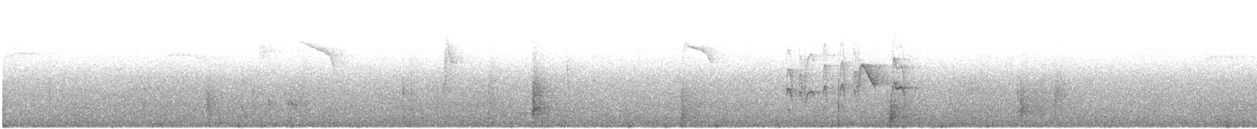 Белобровая веерохвостка - ML363627371