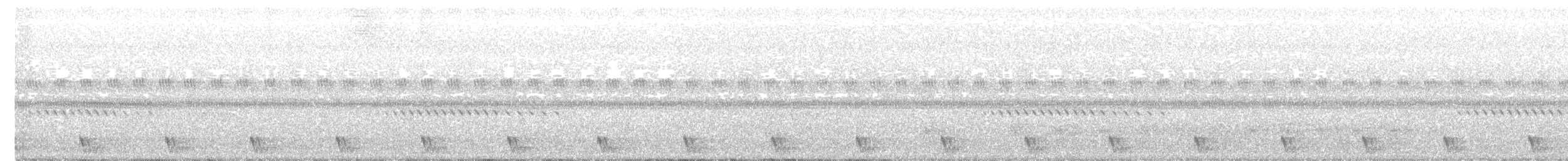 Large-tailed Nightjar - ML363631401