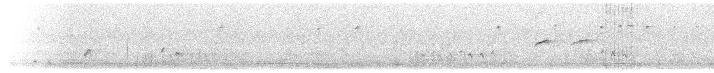 Schwarzbrustdrossel - ML363634491