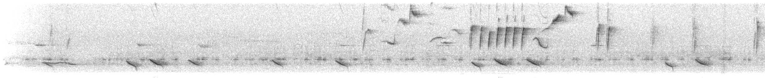 Гульдова нектарница - ML363634911