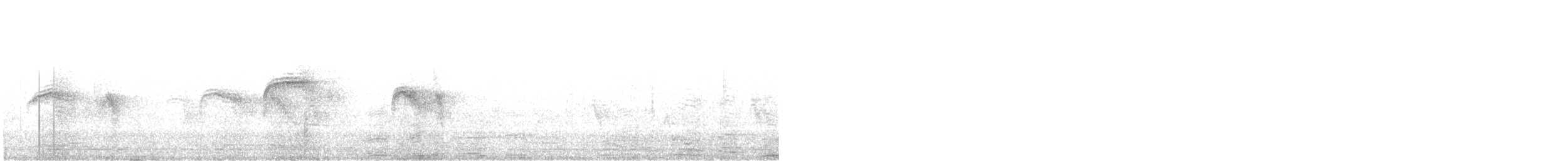 Серпокрилець блідий - ML363668921