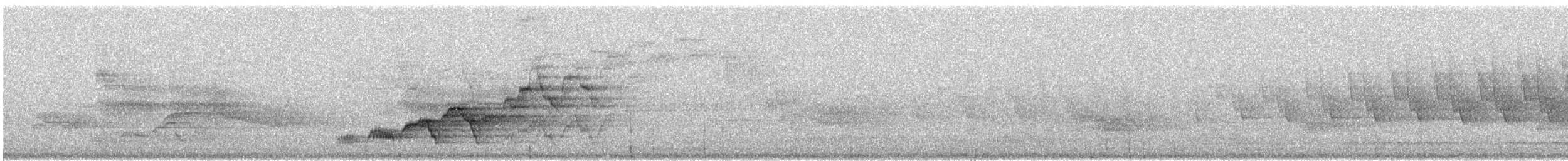 Дрізд-короткодзьоб Cвенсона - ML363701711