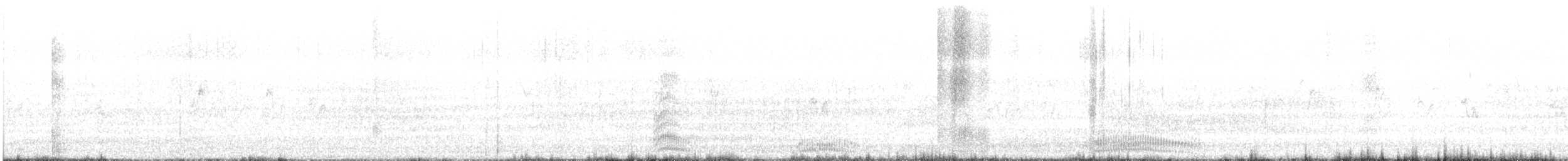 Маорийская чайка - ML363781701