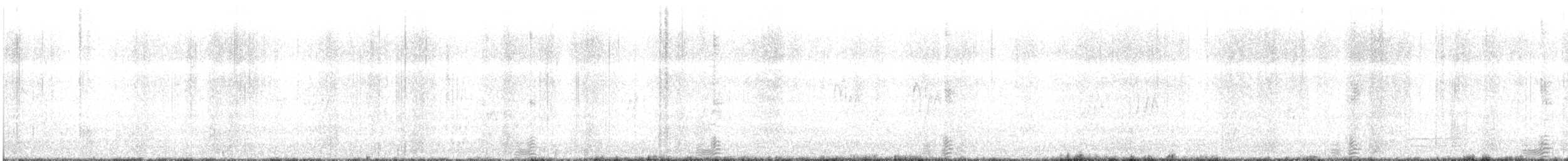 Tadorne de paradis - ML363781761