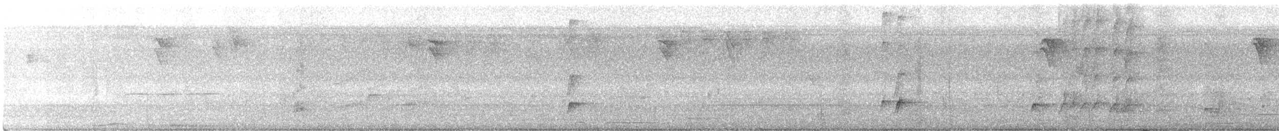 Brown-crested Flycatcher - ML363782401