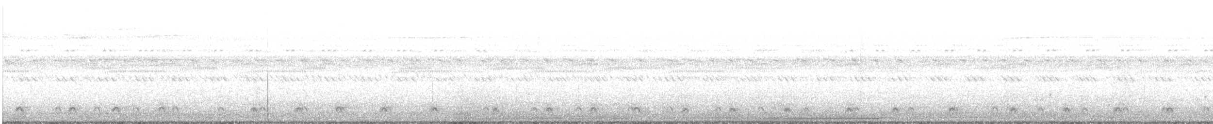 チャックウィルヨタカ - ML363858611
