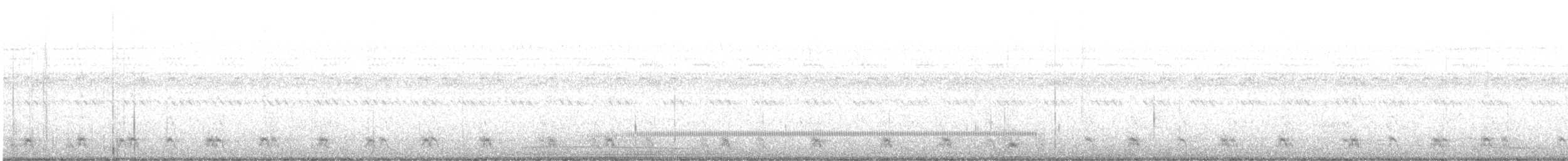 チャックウィルヨタカ - ML363858671