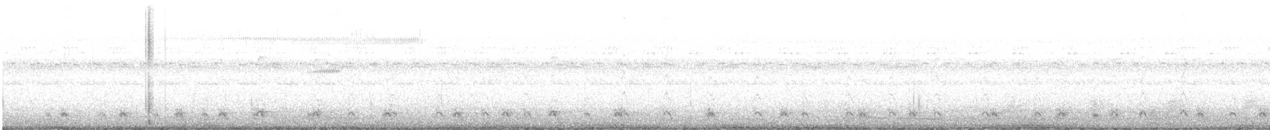 Carolinanachtschwalbe - ML363858711