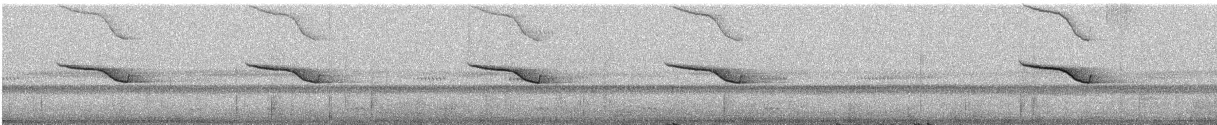 Breitspiegel-Nachtschwalbe - ML363985021