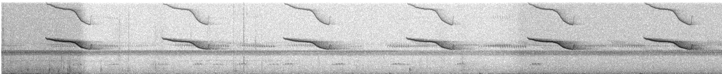 Breitspiegel-Nachtschwalbe - ML363985171