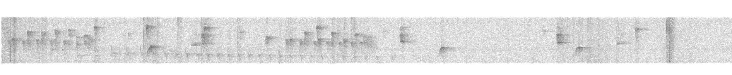 hvitissetyrannulett (munda) - ML364018351