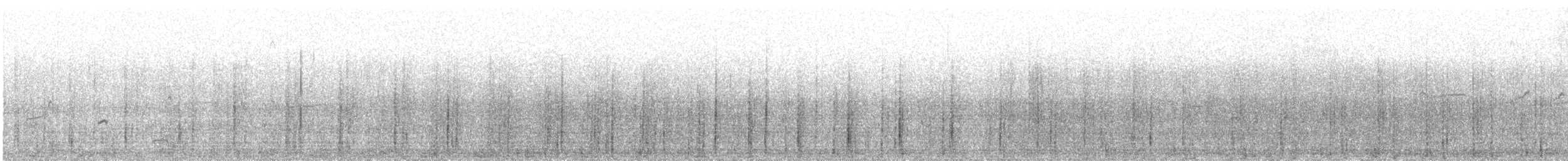 Пелікан рогодзьобий - ML364038541