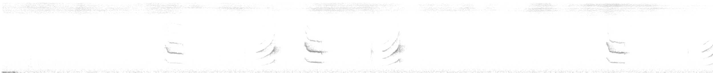 Weißzügel-Dickichtschlüpfer - ML364096551
