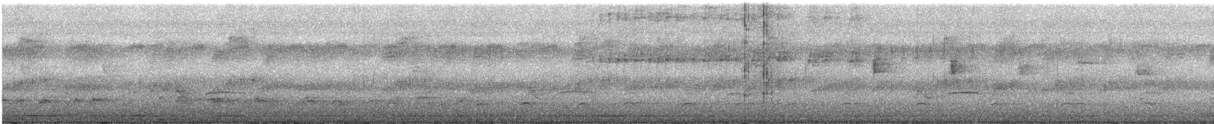 Сапфировобрюхий колибри - ML364111921