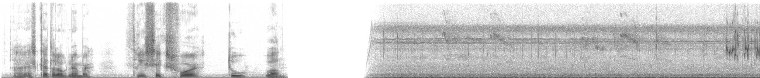 White-nest Swiftlet (White-nest) - ML36421