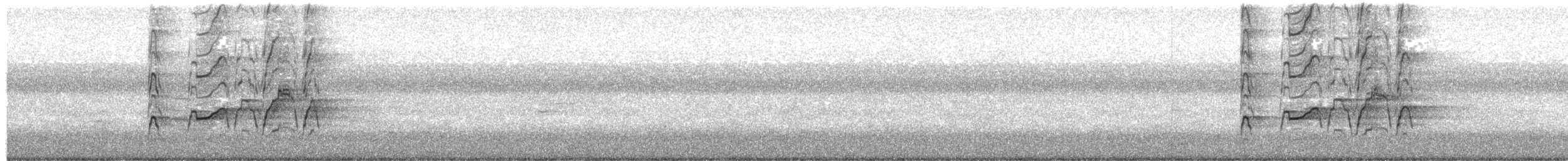 Kara Karınlı Islıkçı Ördek - ML364361301