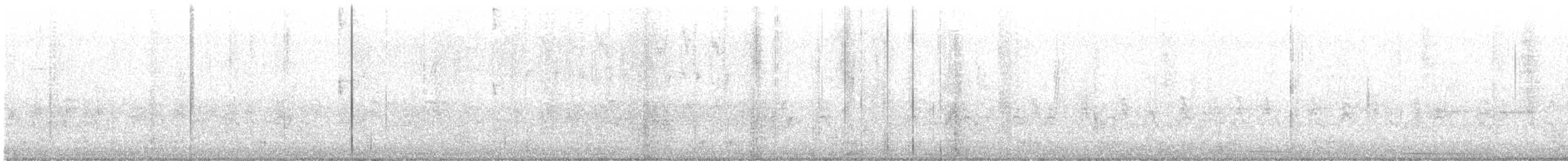 Ширококлювый колибри - ML364448161