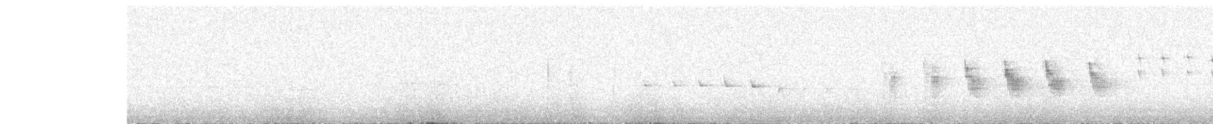 South Island Robin - ML364538591