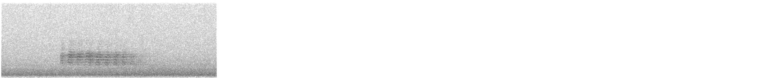 Pycroft's Petrel - ML364540961