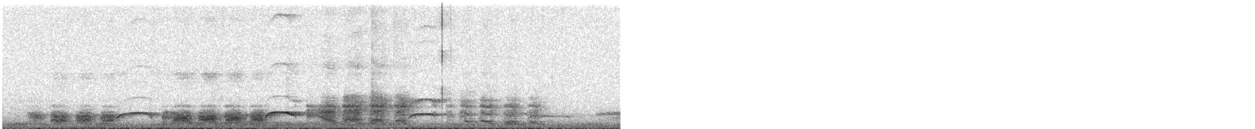 Little Shearwater - ML364541351