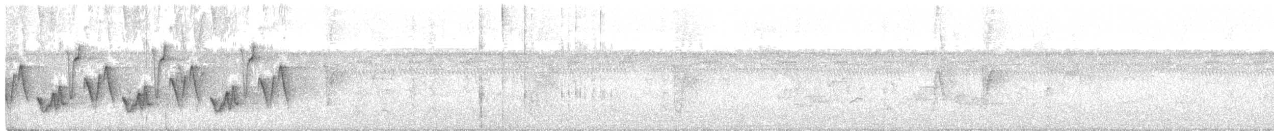 Zeledon Çıtkuşu - ML364601141