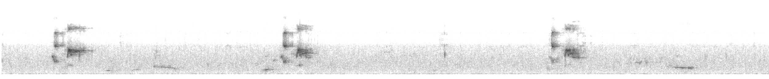 Graustirn-Dickichtschlüpfer - ML36463221