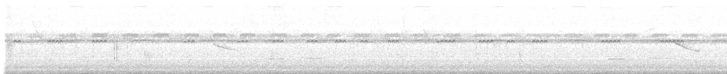 Striped Cuckoo - ML364744181