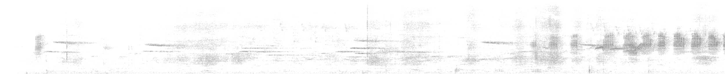 Очковая сутора - ML364756001