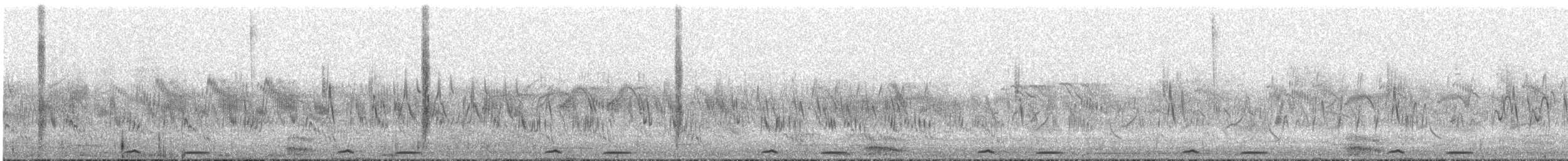 Tarabilla Siberiana (przewalskii) - ML364818211