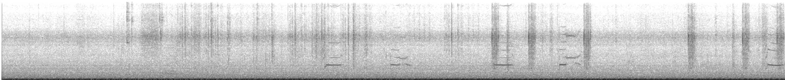 白眉燕鷗 - ML364853361