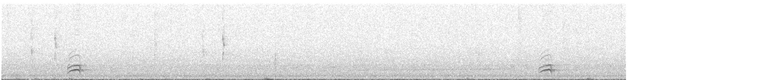 White-necked Thrush - ML364909201