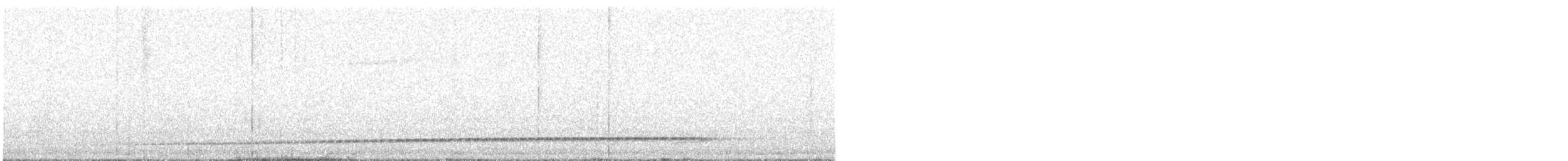 Rufous-tailed Antthrush - ML364909751
