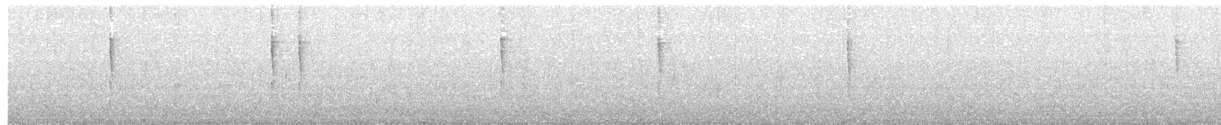 Troglodyte de Baird - ML365003671