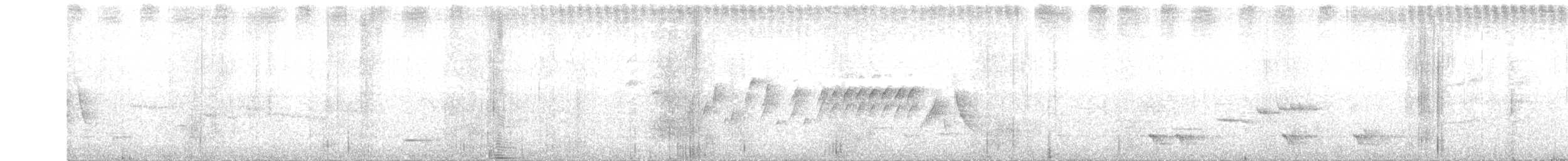 Méliphage carillonneur - ML365018451