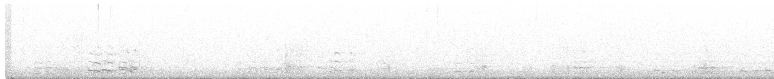 Гуска білолоба (підвид gambelli/sponsa) - ML365102771