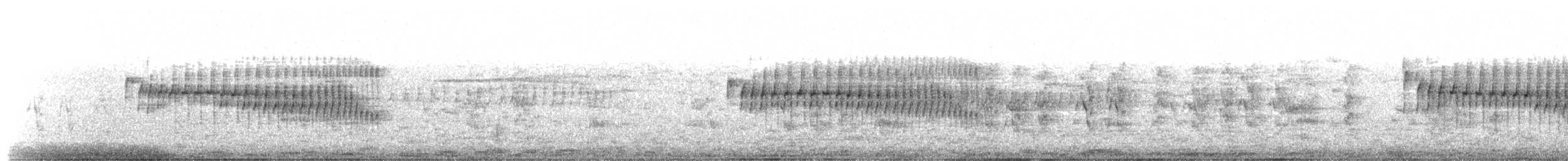 Араукариевая колючехвостка - ML365196251